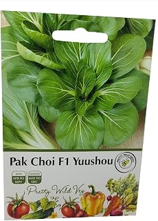 Pak Choi F1 Yuushou Seeds in Pictorial Packet from a UK Seller Healthy Oriental Vegetable