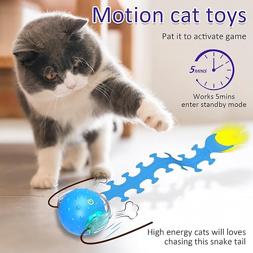 Miniatura 3 de Pelota interactiva de juguetes para gatos de interior rodando rápidamente en alfombra, chirridos y activan el movimiento (ciempiés azul)