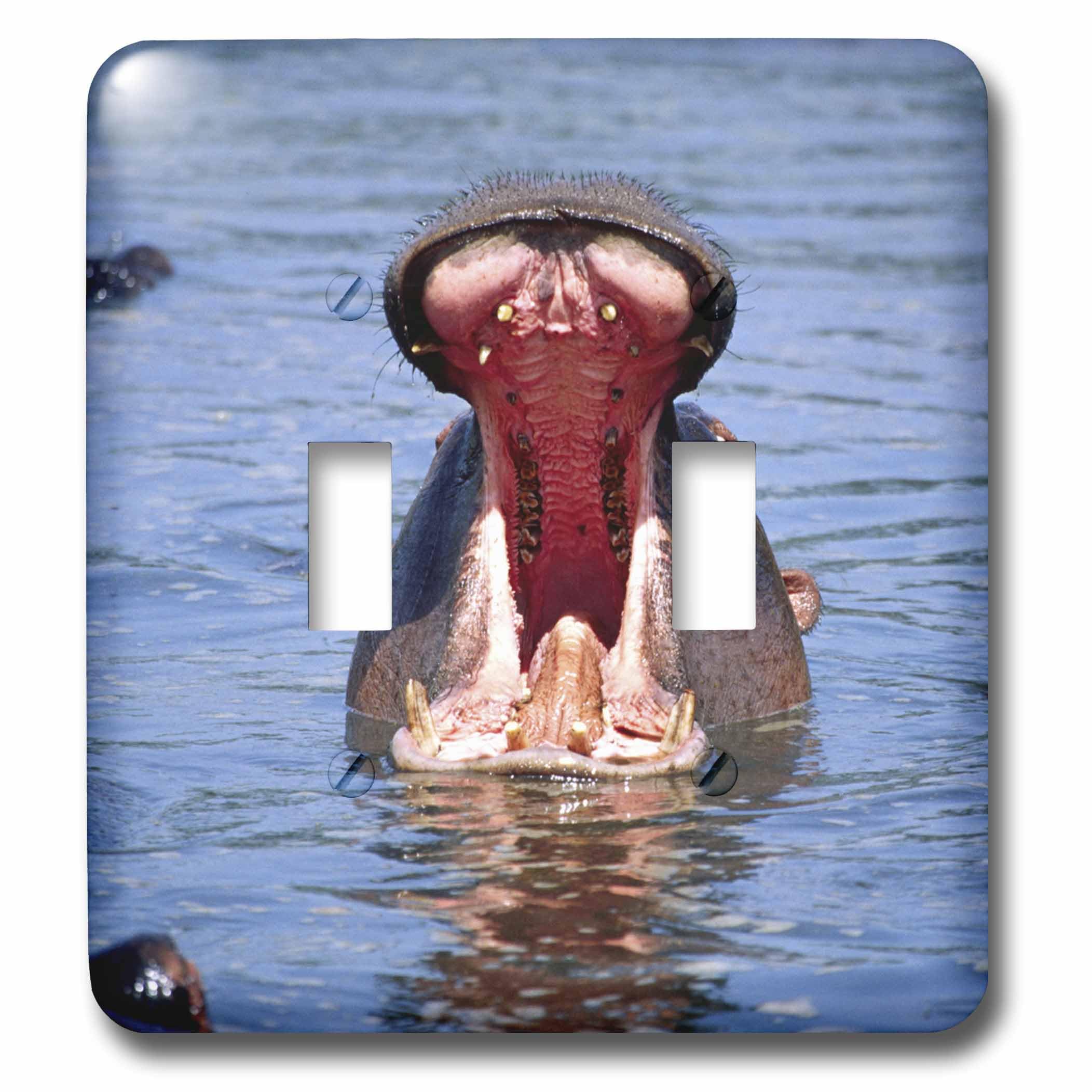 Double interrupteur à bascule hippopotame design David Northcott