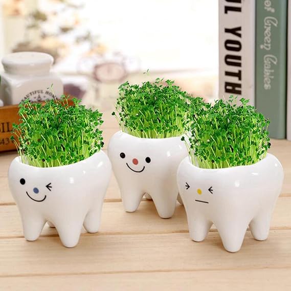 YUANstore 1Pc Tooth Shape Pot Bonsai Ceramic Flower Pot DIY Small Balcony Decorations Succulent Plants White Succulents Pots