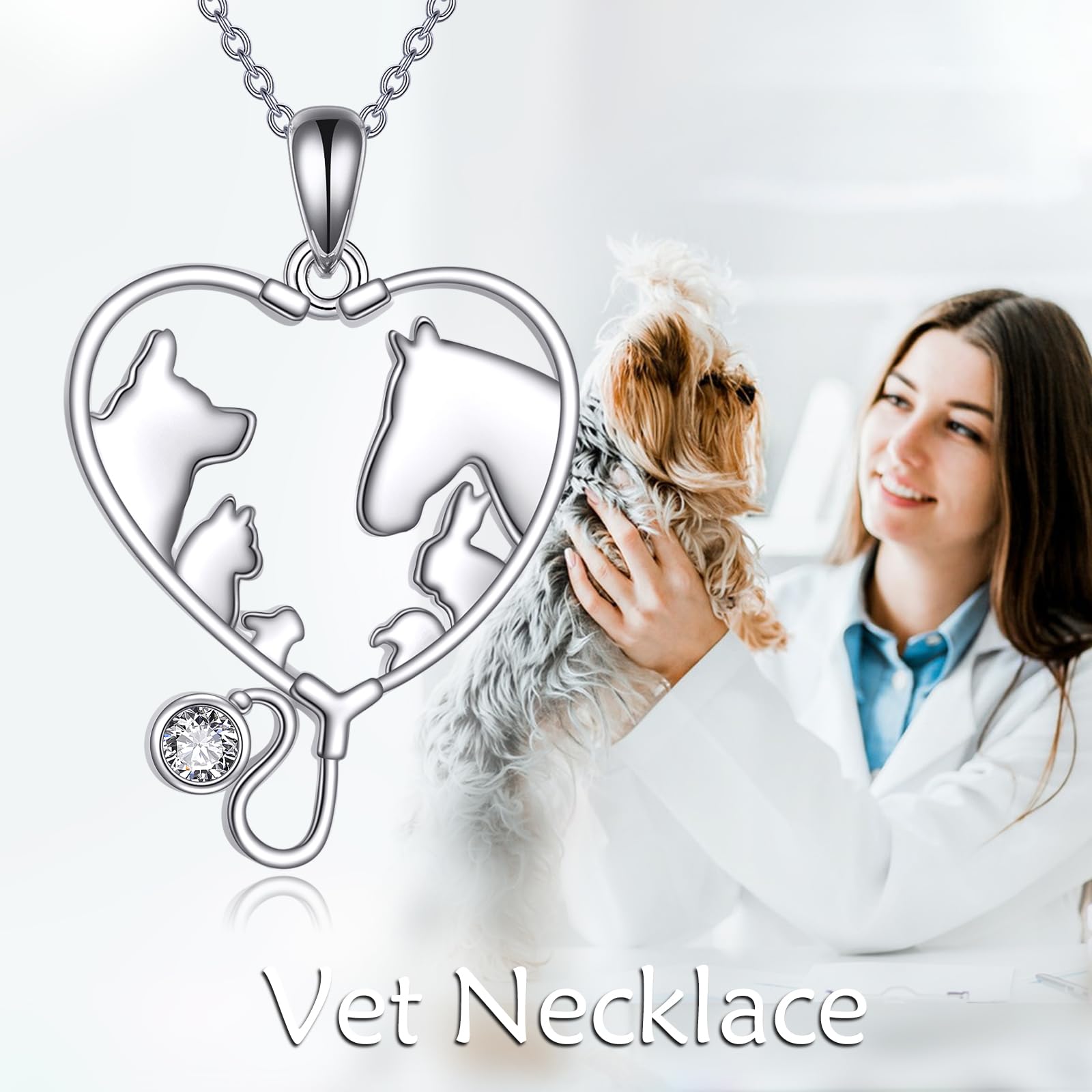 YFN Collar de medicina veterinaria de plata de ley, colgante veterinario, estetoscopio, regalo para mujer