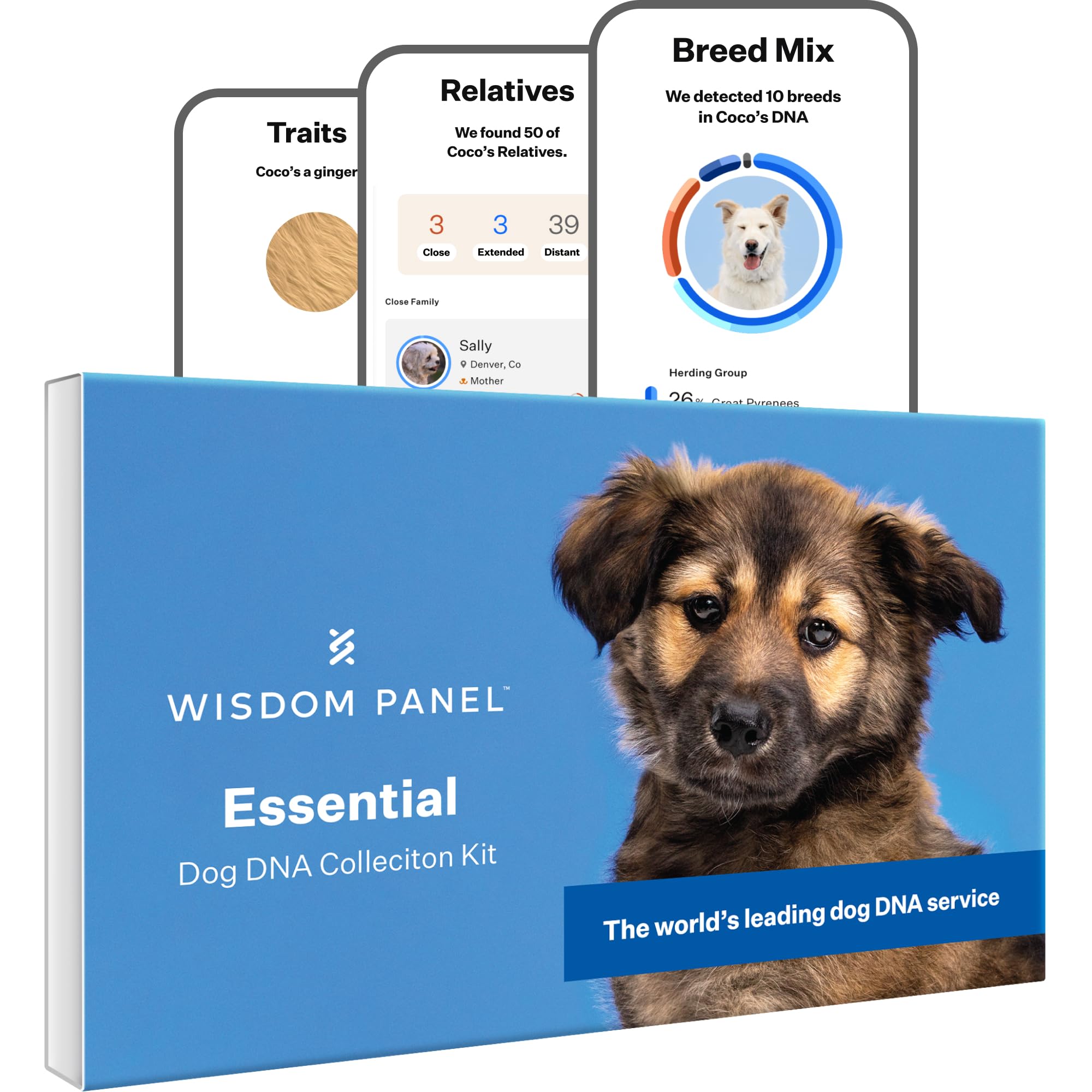 Wisdom Panel Esencial – Prueba de ADN para Perros ancestrales, Razas, propiedades y Pruebas de Salud