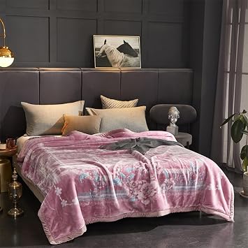 LGYKUMEG 10LB Heavy Korean Mink Blanket Queen Size 79 x 91,Korean Style Fleece Blanket 2 Ply Reversible Soft Warm Plush Blanket,200x230cm