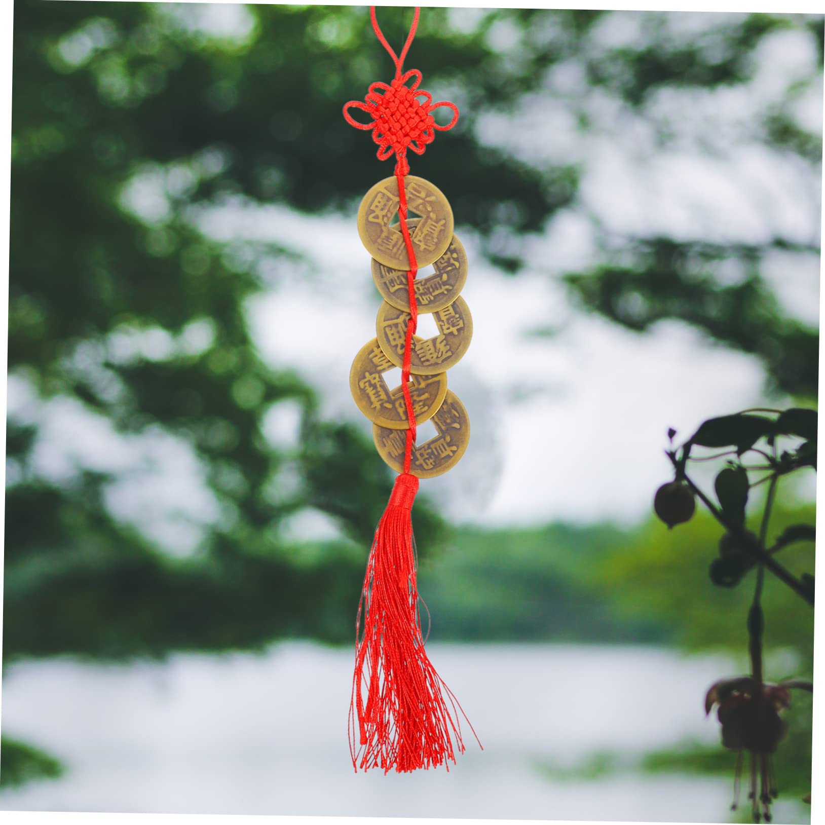 Amazon.co.jp: LIFKICH 風銅貨ペンダント 五帝のコイン 飾り 吊り下げ ペンダント 結びタッセル 新年の装飾 家用お正月グッズ  屋内屋外対応 : ホビー