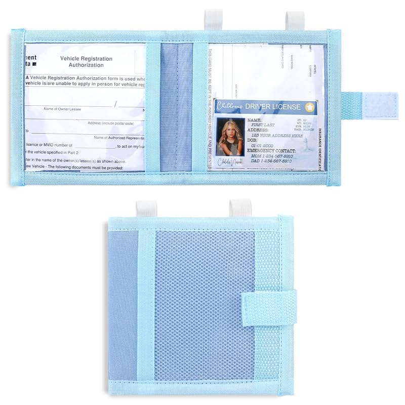 Organizador para Documentos do Carro GNEGNI com Porta-Cartões e Fixação no Para-Sol Azul-claro
