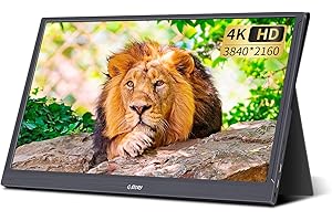 15.6 Inch g-story Portable Gaming Monitor for PS5