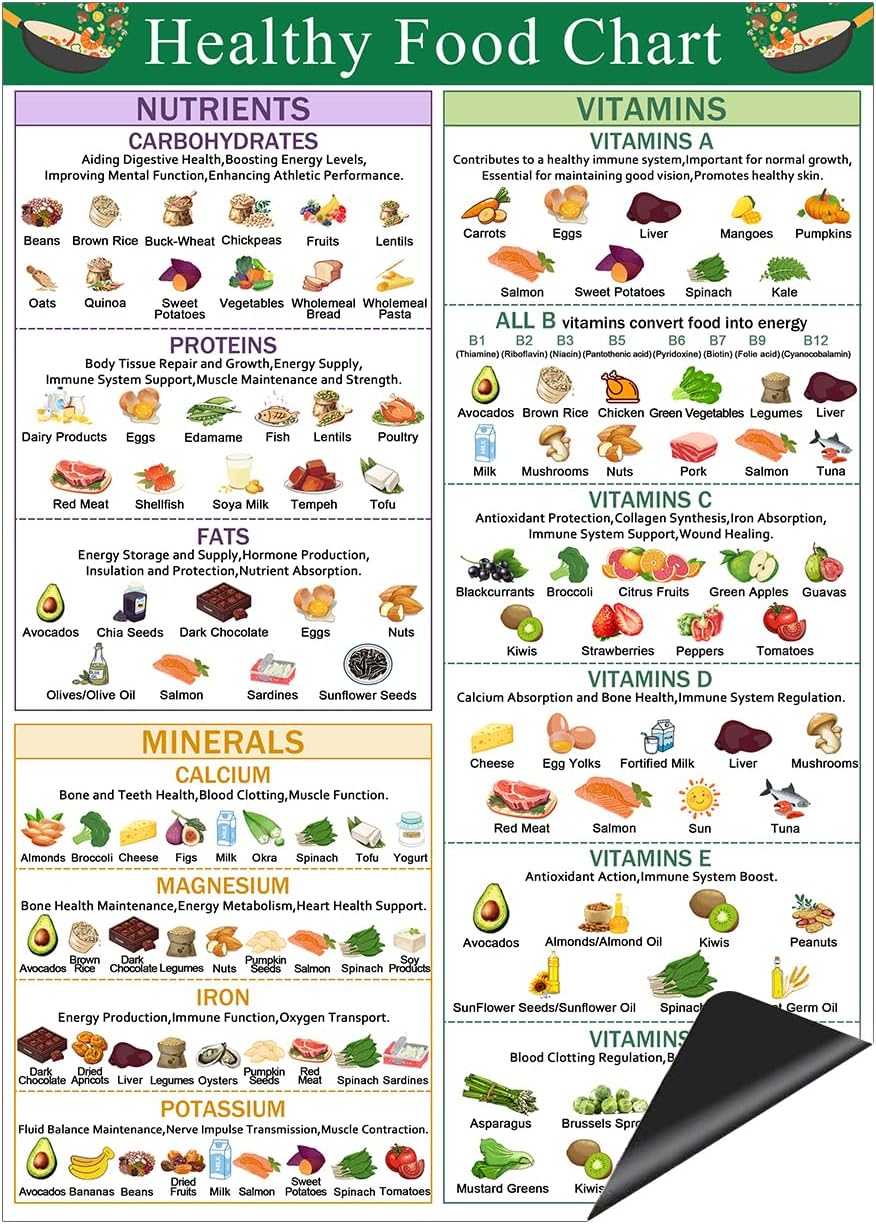 Healthy Food Magnet,Daily Dietary Nutrition Refrigerator Chart-13 x10