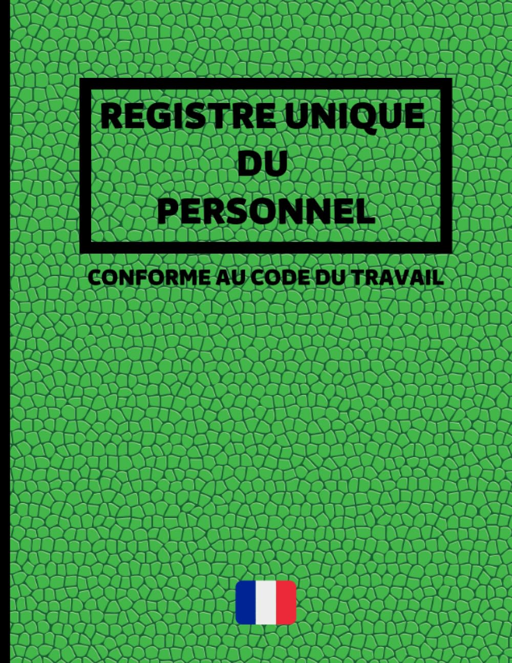 Registre unique du personnel: Cahier obligatoire pour la gestion du personnel (salariés et stagiaires) | Conforme au Code du Travail | 100 fiches grand format à remplir
