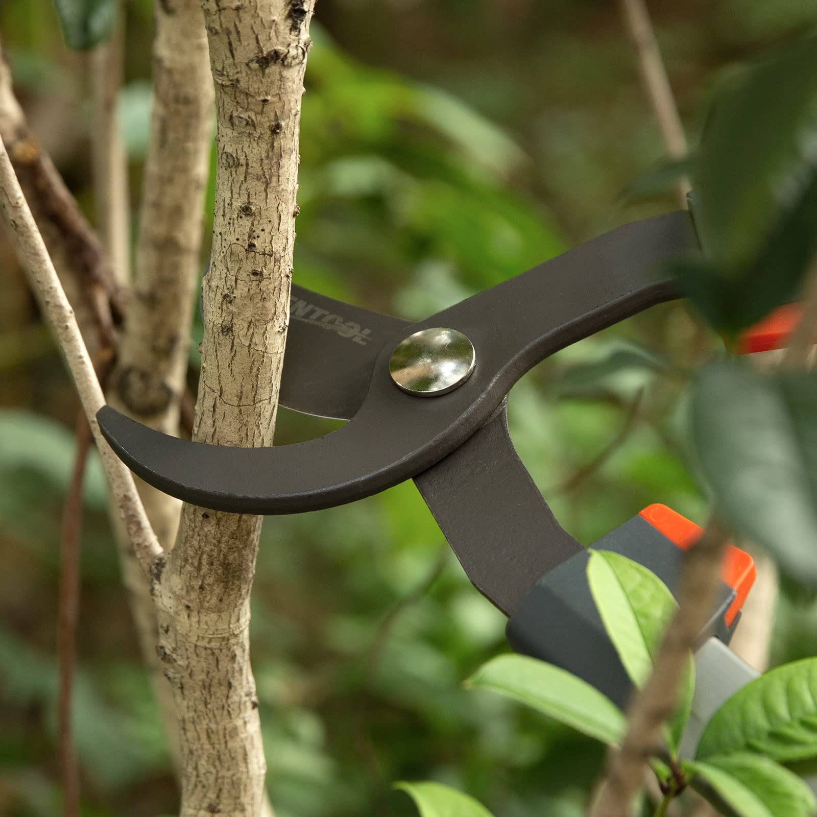 Amazon | Ventool 25 1/2 Amazon | Ventool 25 1/2