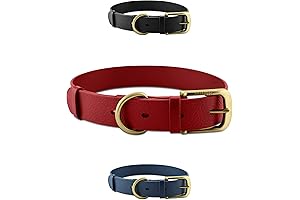 Tuff Pupper Classic Indestructible Dog Collar: Unparalleled Strength & Durability