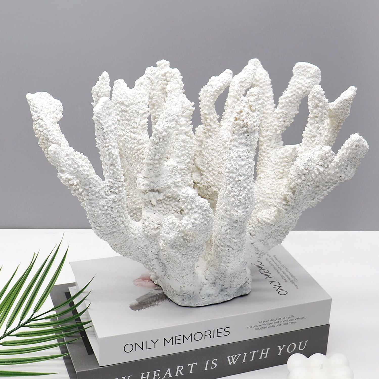 Tirifer Big Size Finger Coral White Coral Decor White