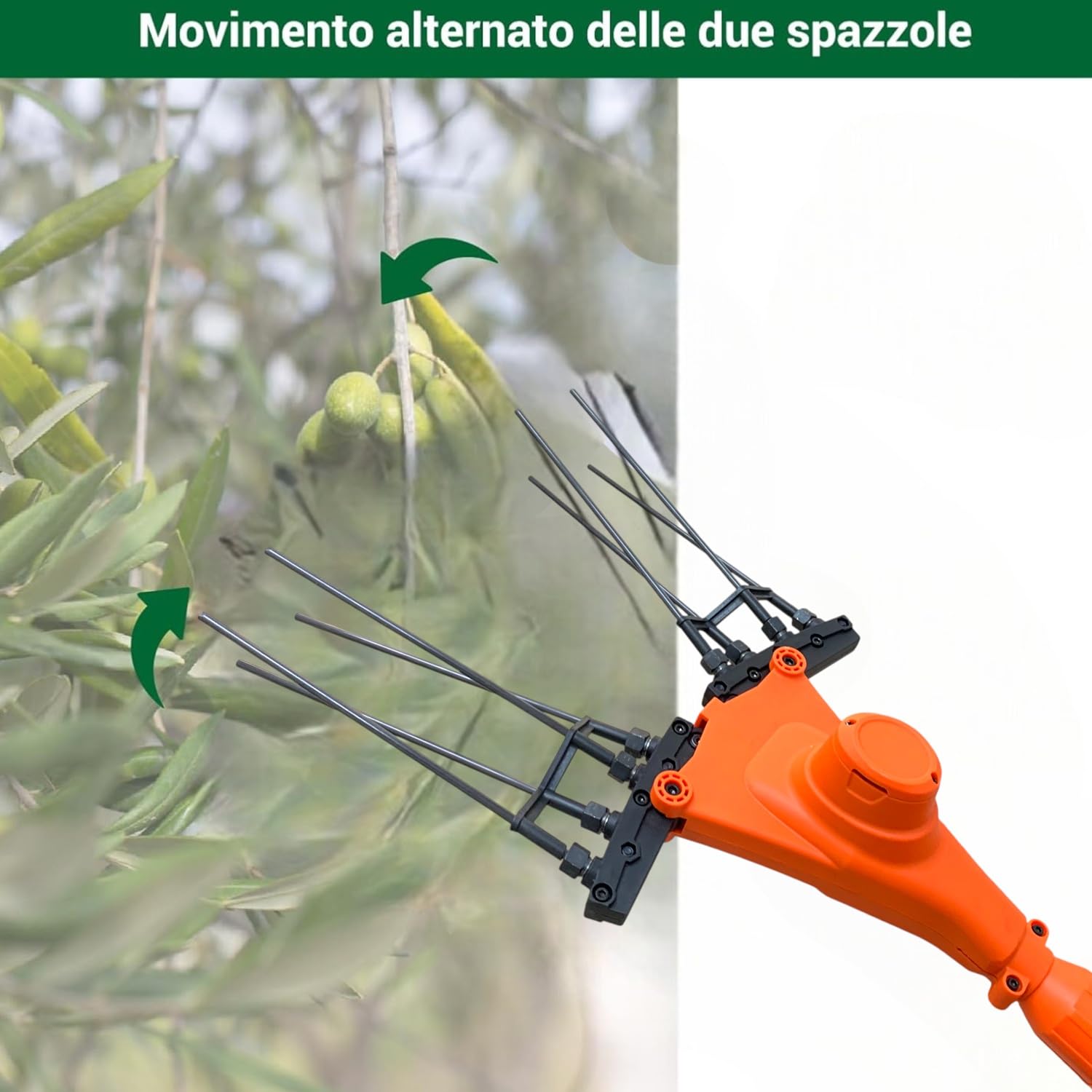 Abbacchiatore Scuotiolive Elettrico Multifunzione a Batteria e Alimentazione 12V con Doppia Batteria da 128Vf 10000mHa Motore 140W 5 Velocità 800-1250BPM Display Digitale Pettine in Fibra di Carbonio