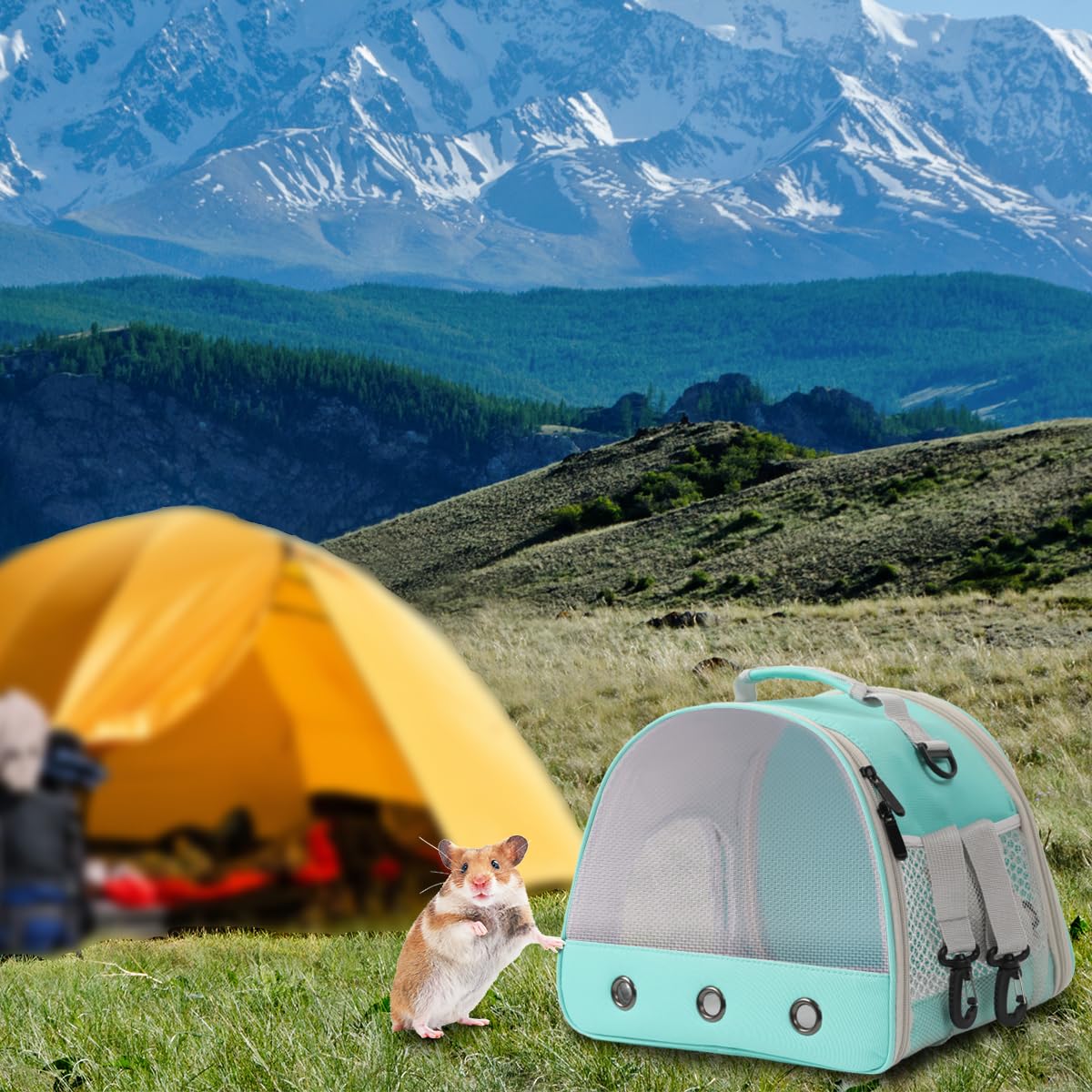 Transporttasche für Kleintiere, Wandern, Outdoor (grün, Netzgewebe)