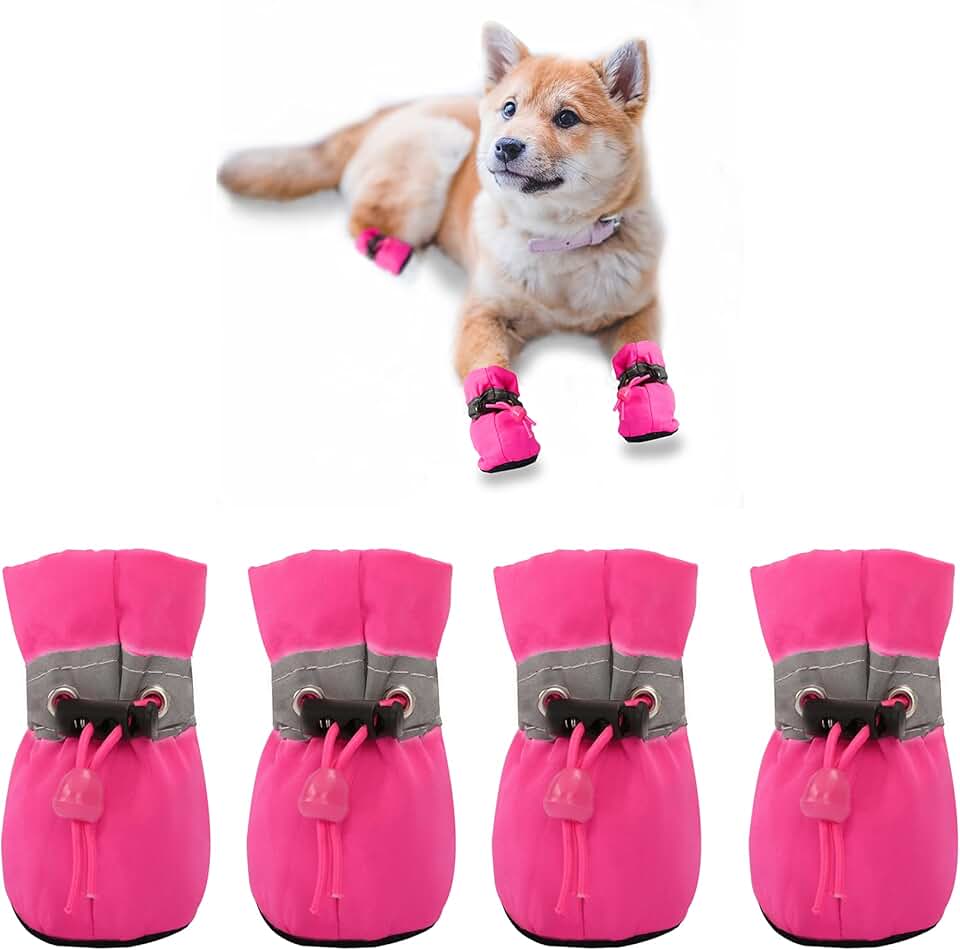 Dog Boots & Paw Protectors Amazon.co.uk
