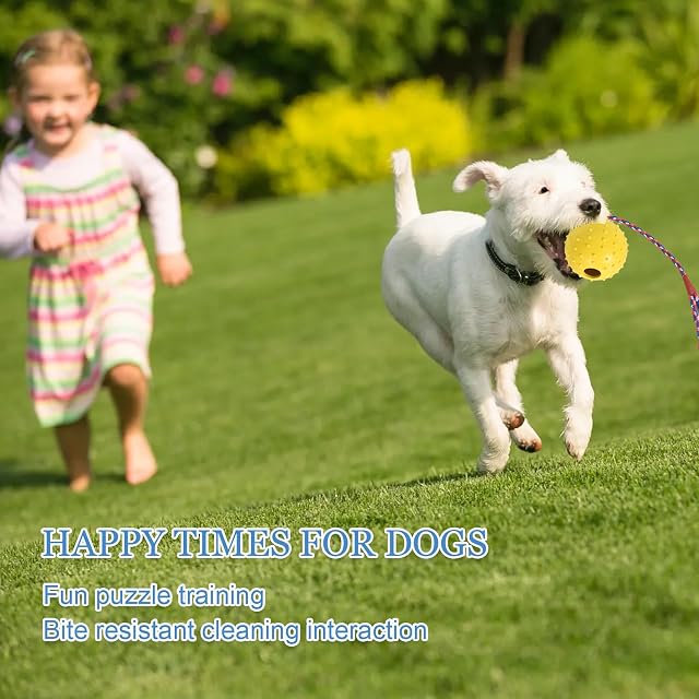 Foto 7 de 7 de Disnace 2 Piezas Pelota de Juguete para Perros,Pelotas de Perro para Limpieza,Pelotas de Comida…