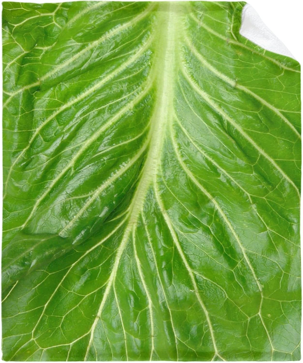 ARTBLANKET Lettuce Blanket 40x30 in for Baby, Cabbage