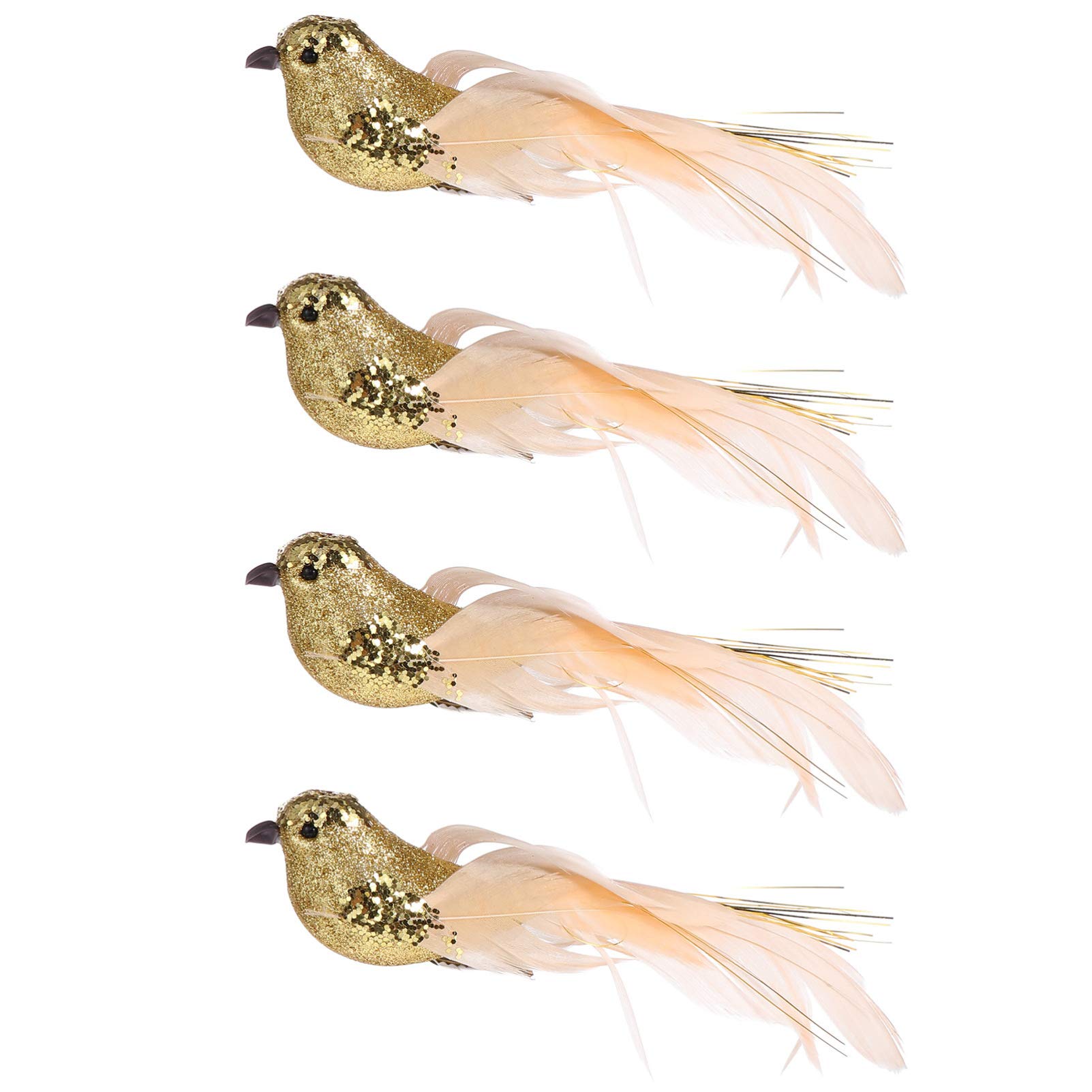 ParaBird i ParaBird i