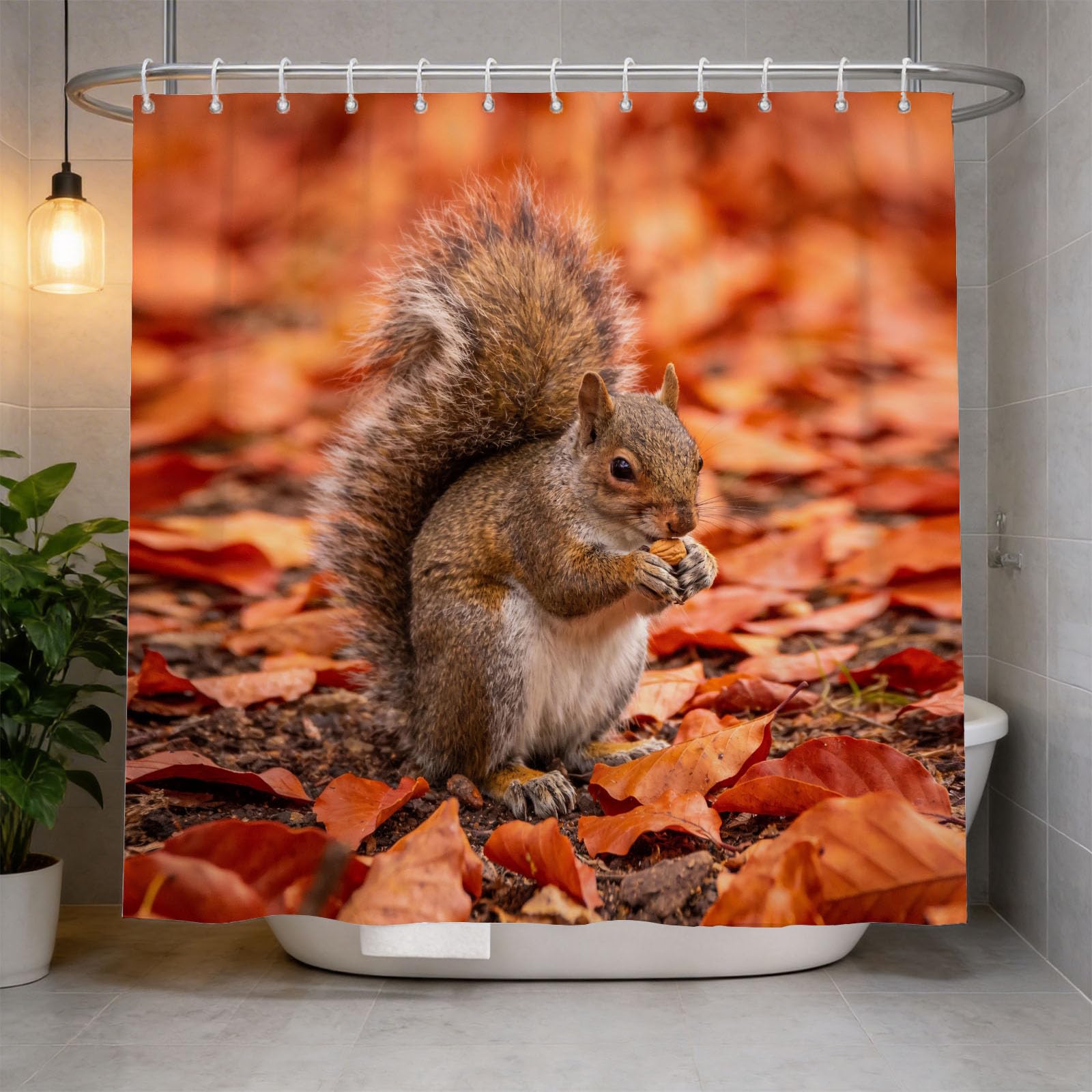 Hongduo 3D Squirrel Shower Curtain for Stalls Bathtubs Cute Animals Bathroom Decor Shower Curtain Set Polyester Fabric Waterproof 200x200cm/79X79 Inch with Hooks
