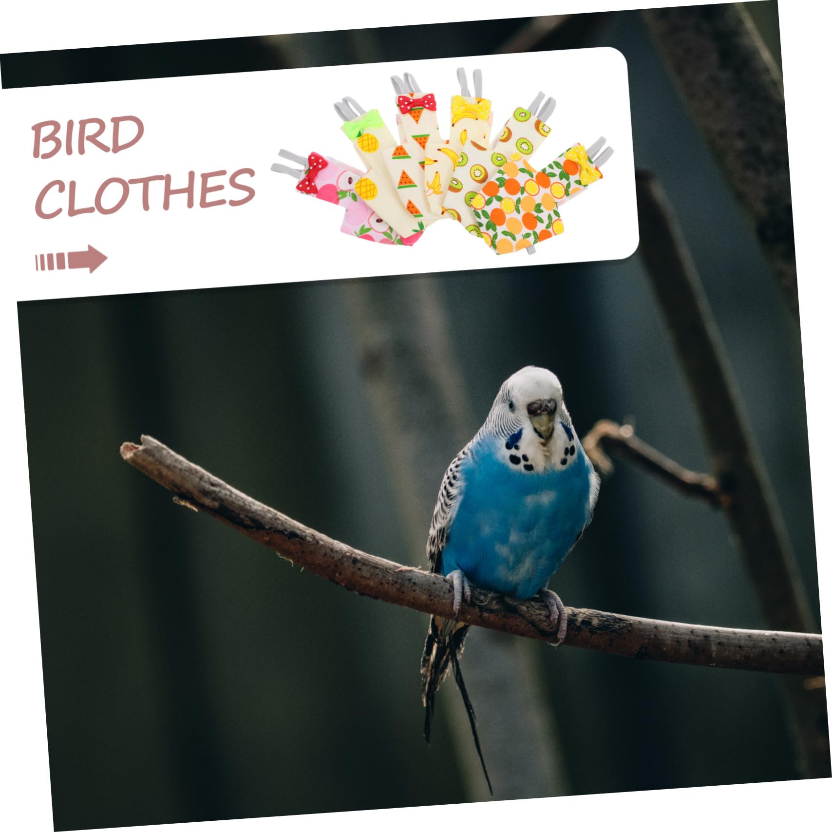 NOLITOY 6 Piezas Pañales para Pájaros Reutilizables y Lavables con Estampado de Frutas Ropa para Pequeños como Periquitos y Ninfas Traje de Vuelo para Mascotas