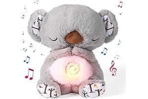 Calming Koala Otter: Relax and Breathe with Evora