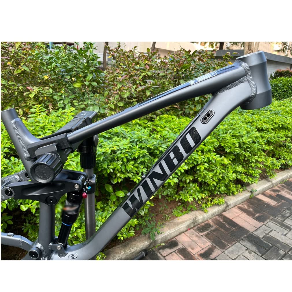 HIMALO Downhill Bike Frame 26er 27.5er 29er Mountain Bike Suspension Frame 17''/18'' DH/XC/AM Enduro Aluminium Alloy Frame Disc Brake Thru Axle 12 * 148mm(Silver,29 * 17'')