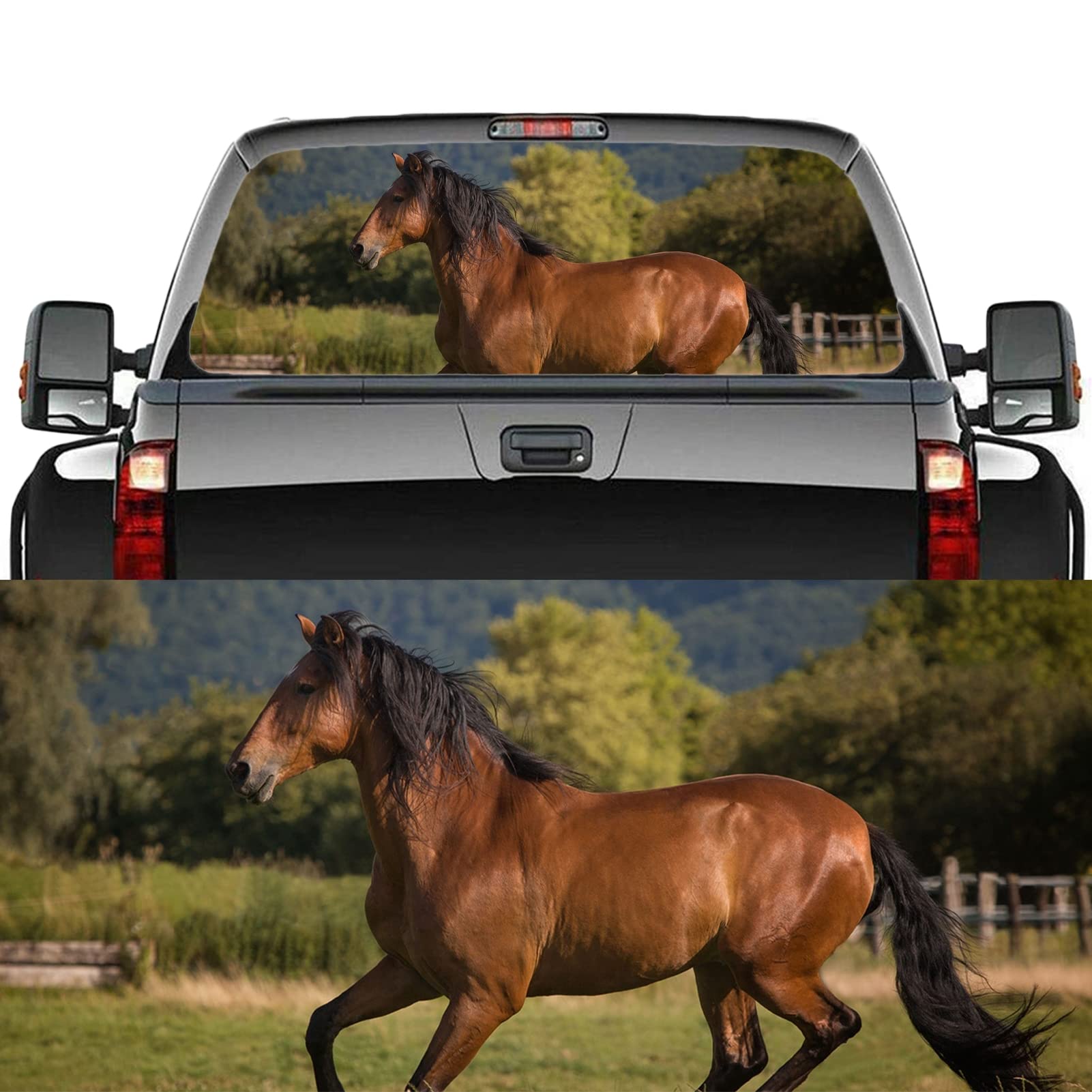 Personalizza le decalcomanie del parabrezza per porto posteriore per auto 3D per autore di decalcomanie per camion Decal Adesile per cavalli per cavallo DECORAZIONE AUTO CAMPIO PACCHUC,58x18 inch