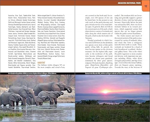 Wild Rwanda: Where to watch birds, primates, and other wildlife