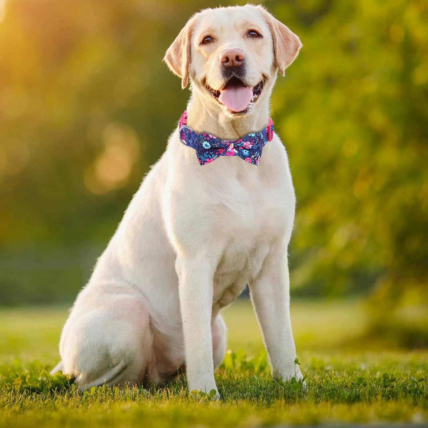 haoyueer Soft Comfy Bowtie Dog Collar,Detachable and Adjustable Bow Tie Collar,for Girl Female Small Medium Large Dogs (L, Red) - Image 3