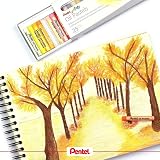 Pentel 25 Color Oily Pastel Chalk PHN-25 – view 2