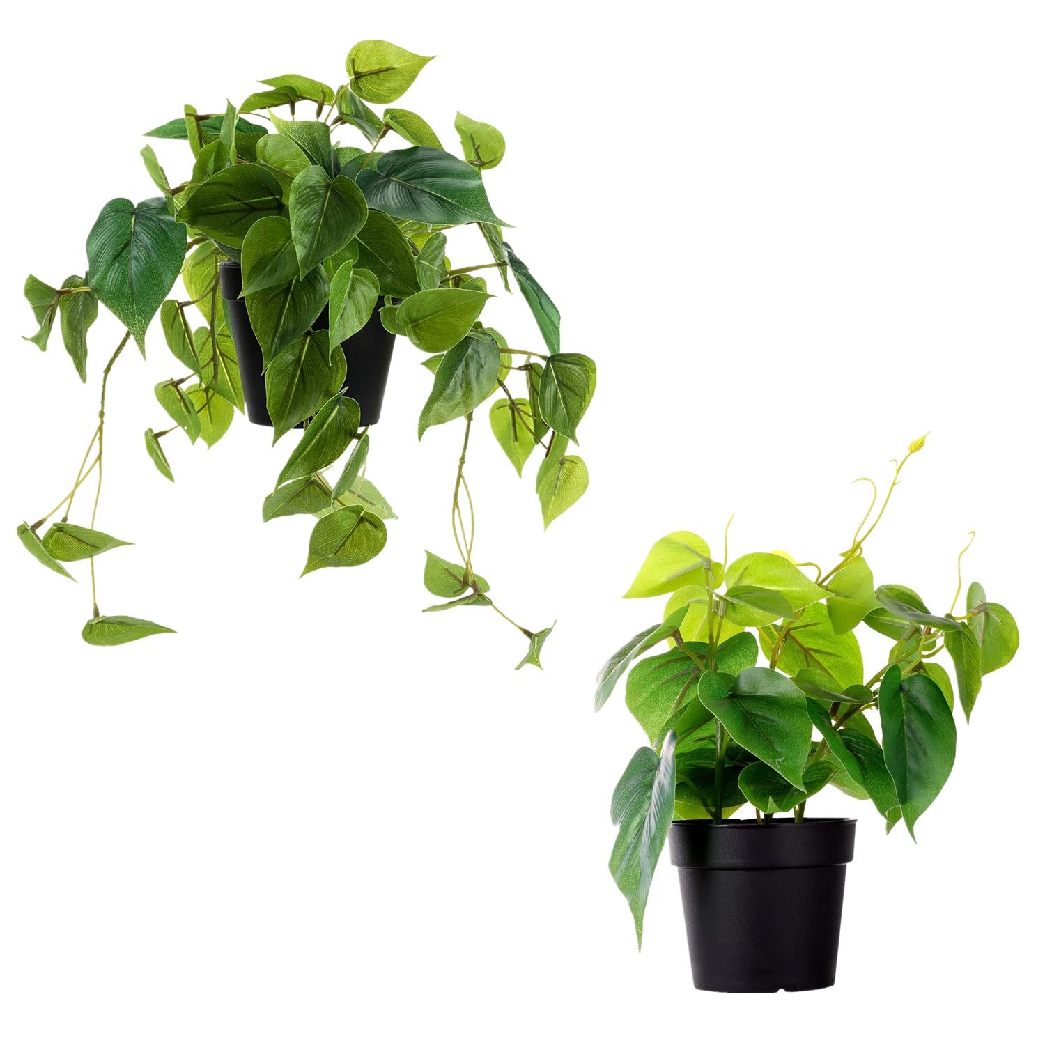 Bundle of LuckyGreenery Artificial Scindapsus Aureus and Bougainvilleat