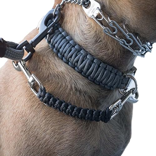 Miniatura 1 de Dog Collar Safety Leash for Prong Collar Back Up Strap Clip (Black)