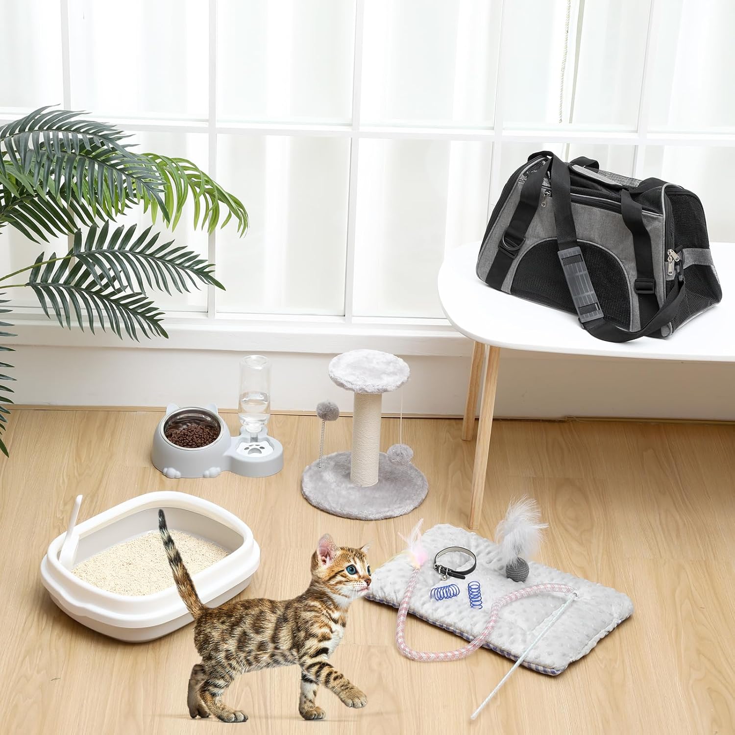 eccliy kitten starter kit, 10 pcs cat starter kit for indoor cats kitten essentials includes litter box, pet toy, folding carrier, climbing frame, mat, collar, automatic food bow(cute,gray)