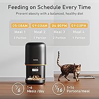 Vista 3 de Alimentador automático para gatos actualizado 2025, alimentador automático para mascotas con temporizador de 4 litros para gatos y perros
