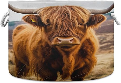 Miniatura 31 de YETTASBIN Canasta de cuerda de algodón con diseño de dragón de acuarela, grande, redonda, para bebé, manta, juguetes, para almacenamiento