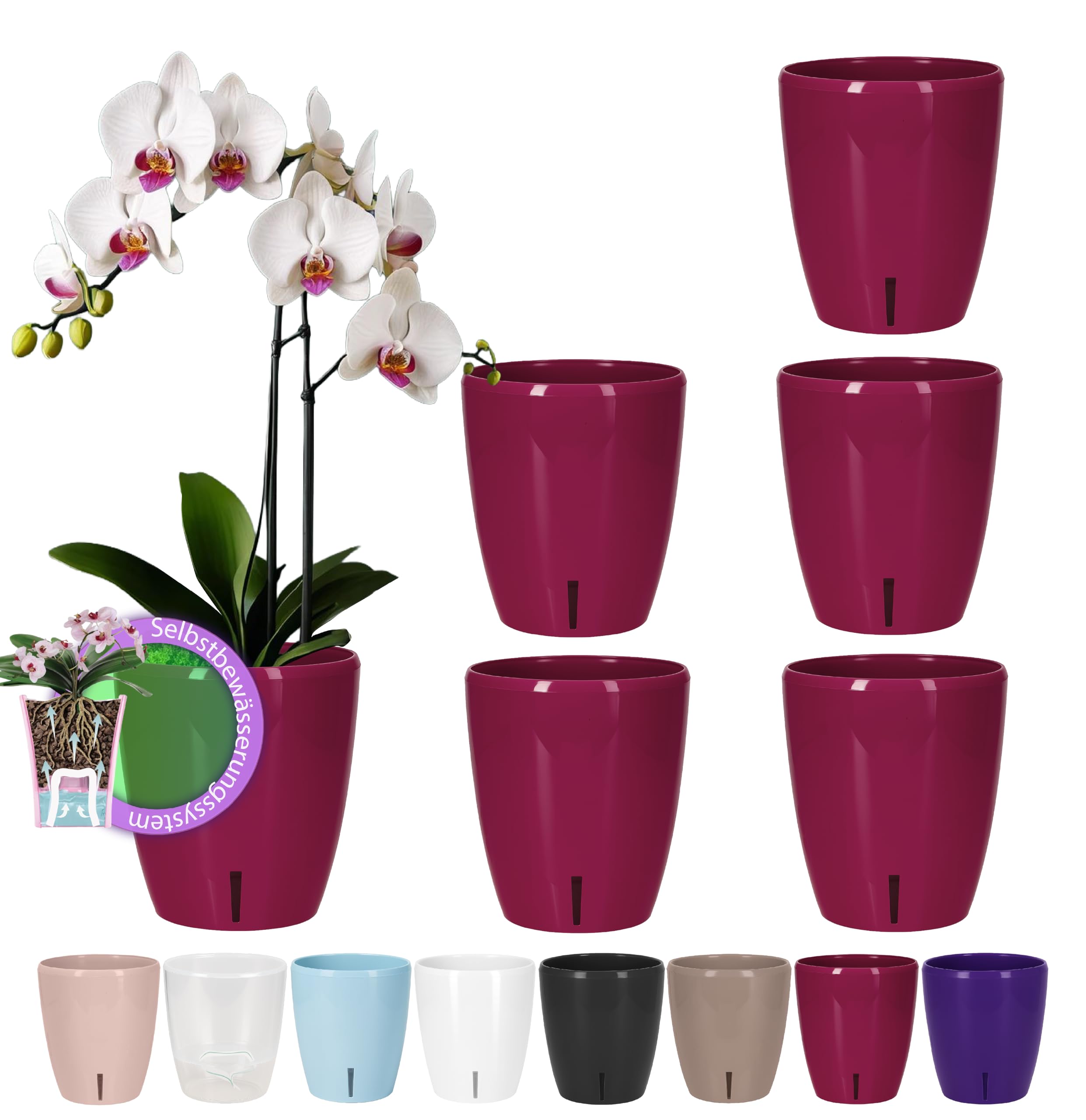 Santino Maceta para Orquídeas Ø 12cm Maceta Autorriego con Sistema de Mecha e Indicador de Nivel de Agua para Interior (Ø 12cm - 1,3L - Transparente) — view 9