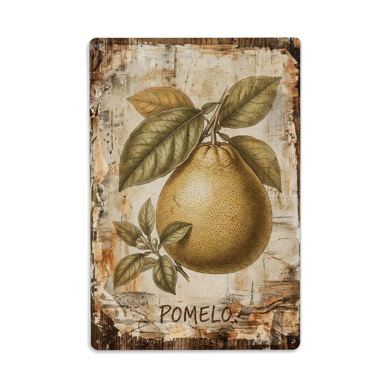 Pomelo Citrus Fruit Vintage Metal Tin Sign Plaque Wall Decor for Cafe, Club, Garden Metal Poster 8x12Inch