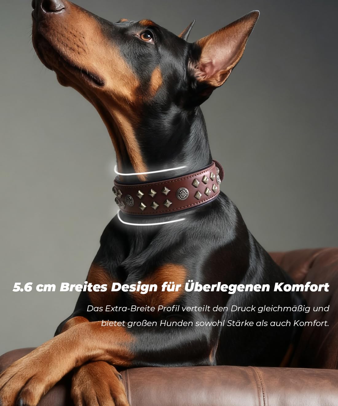 EliteGuard Hundehalsband Leder, 5,6 cm Breit, Handgefertigt Mit Nieten Und Edelstahlschnalle, Für Den Täglichen Gebrauch Bei Großen Hunden Braun 36.5-47.5 cm