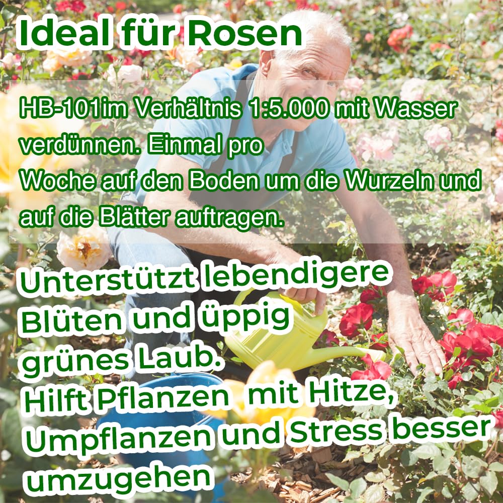 HB-101 Naturalny biostymulant (50 ml) – Rewitalizujące narzędzie dla wszystkich roślin, w 100% naturalne i wolne od chemikaliów