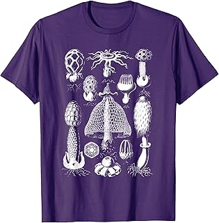 Vintage Haeckel Basimycetes Stinkhorn Mushrooms Tee T-shirt T-Shirt