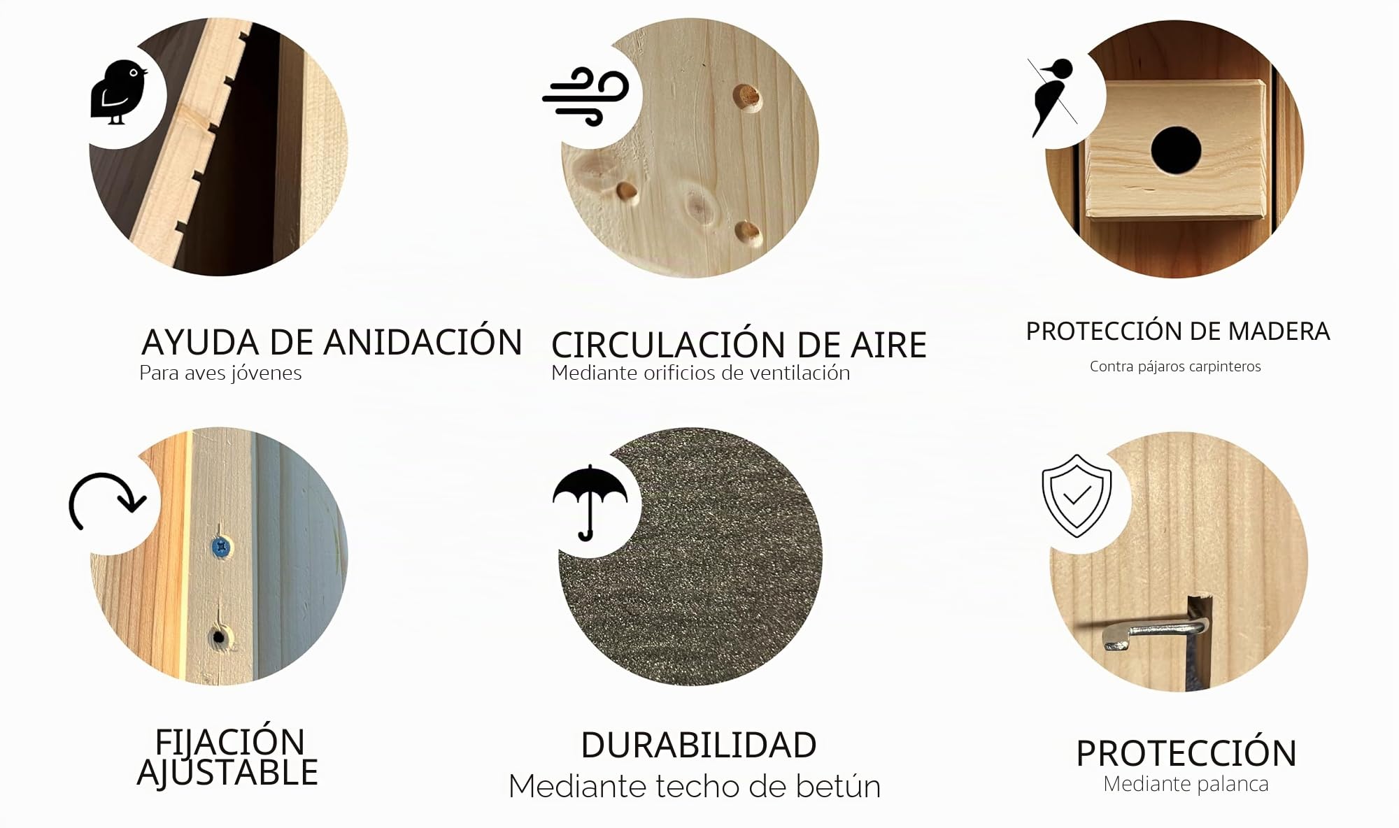 Caja nido de alta calidad con cámara | Transmisión en vivo | Madera maciza certificada PEFC | Incubador | Cámara pajarera con cable de alimentación de 3 m | Idea de regalo para jardín