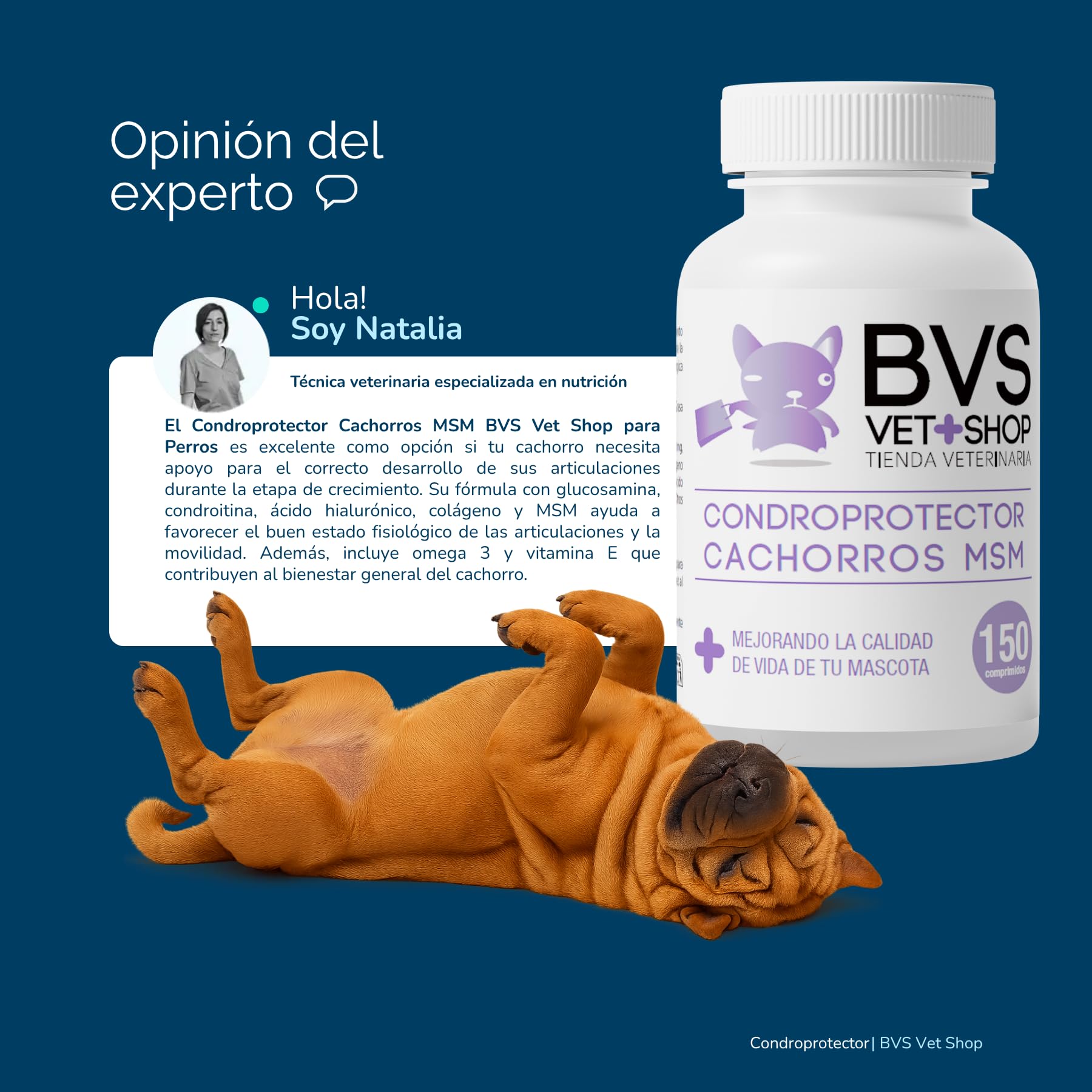 BVS Vet Shop | Condroprotector Cachorros MSM para Perros | Formulado para Cachorros, Apoyo nutricional para favorecer el Buen Estado fisiológico de Las articulaciones | 300 Comprimidos