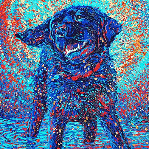Diamond Painting Dog, 5D Diamond Painting Kits for Kids and Adults Full Drill Animals Dogs Pictures by Numbers DIY Embroidery Craft Colorful Flaming Art for Beginners Home Gift-Colorful Dog
