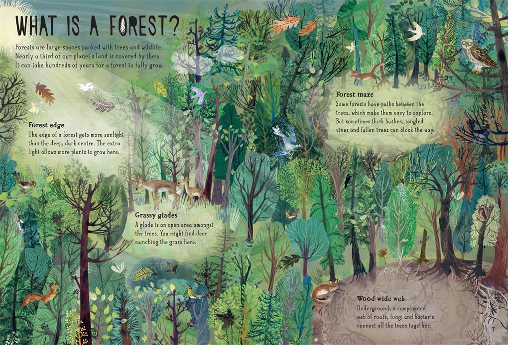 Our Forests (Our Wonders, 2)