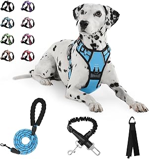 No Pull Dog Harness, Reflective Vest Harness with Leash No Choke Soft Padded Dog Vest, Adjustable Front Lead Dog Harnesses with Dog Seat Belt for Small Medium Large Dogs, Blue, L