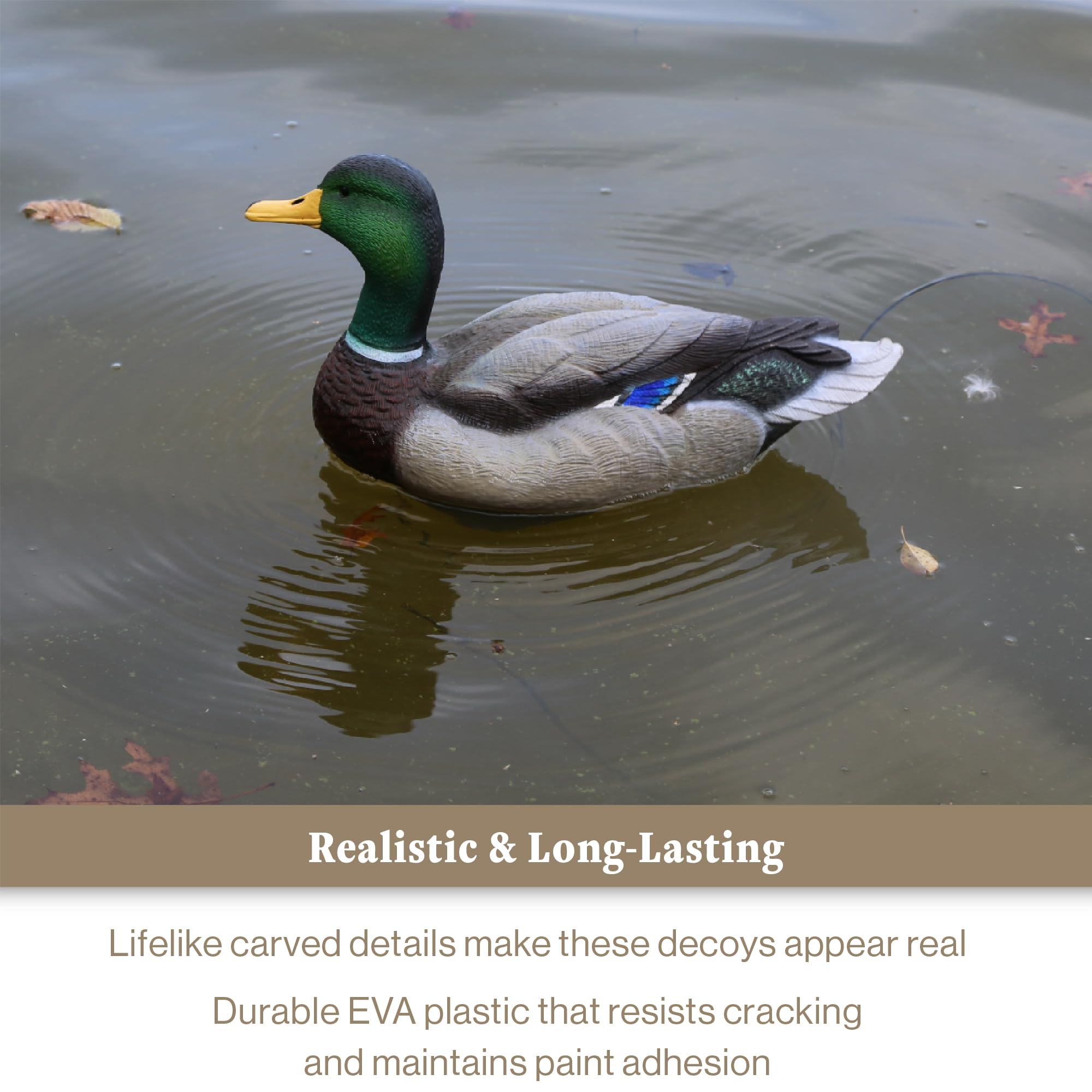 Lucky Duck - Faretra Anatra HD