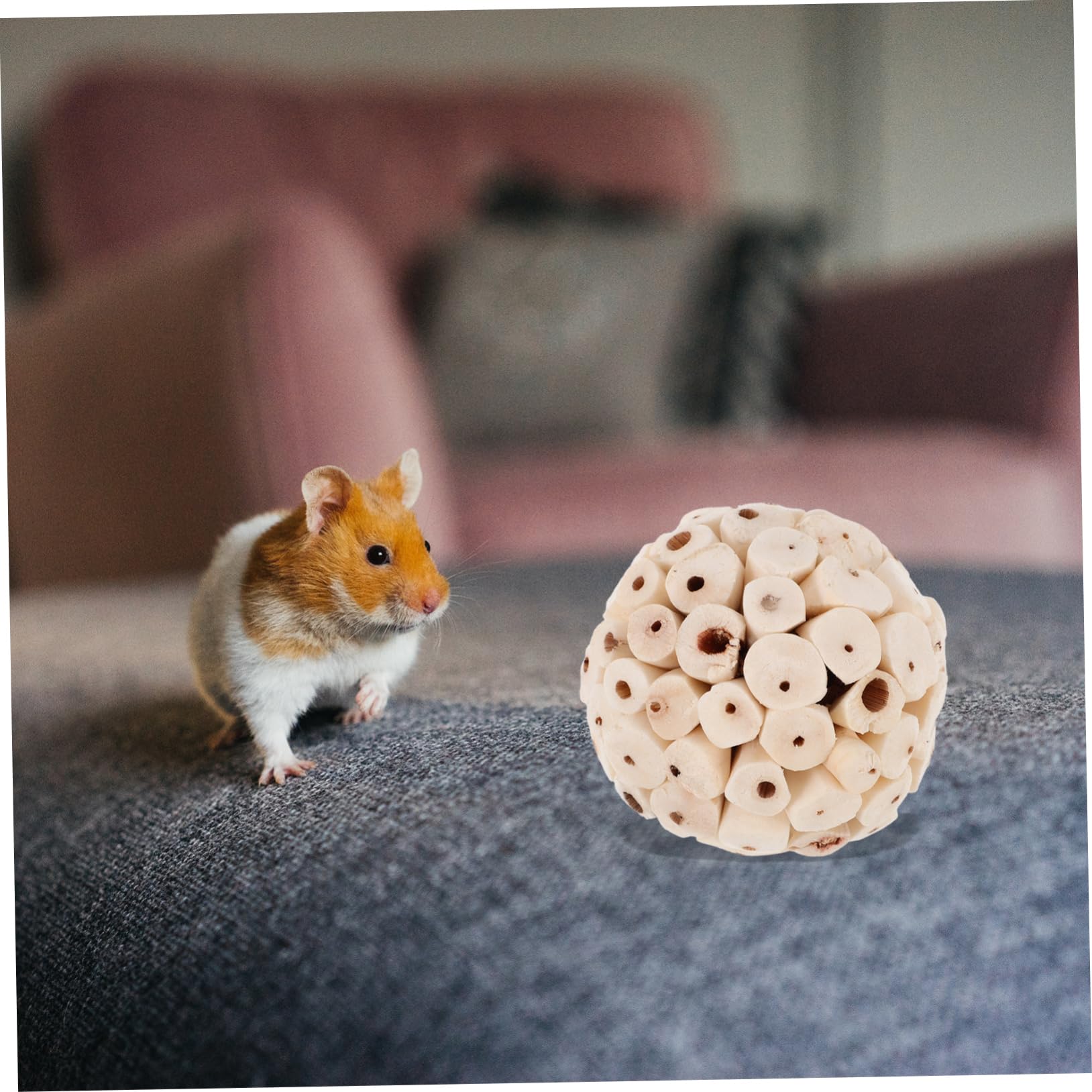 POPETPOP 24pièces Jouets De pour Oiseaux à Mâcher Naturelles pour Perroquets Hamsters Et Rongeurs Amusement Et Stimulation pour Animaux