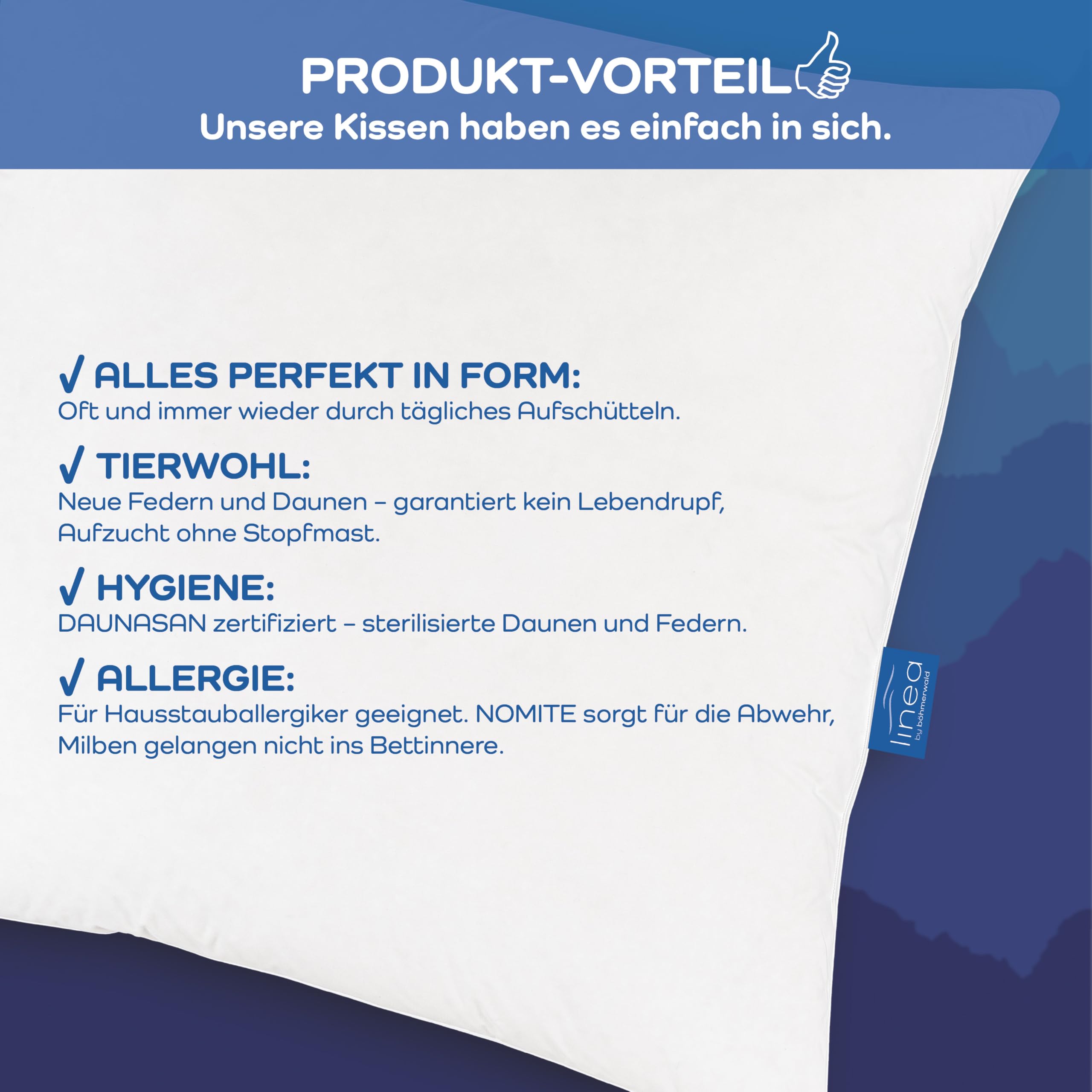 LINEA by böhmerwald - cosy - 3 Kammer-Kopfkissen weich, 40 x 80, Innen:100% Federn, Äußere Kammern:90% Daune/10% Feder, Allergiker geeignet, waschbar bis 60°C, in Deutschland produziert