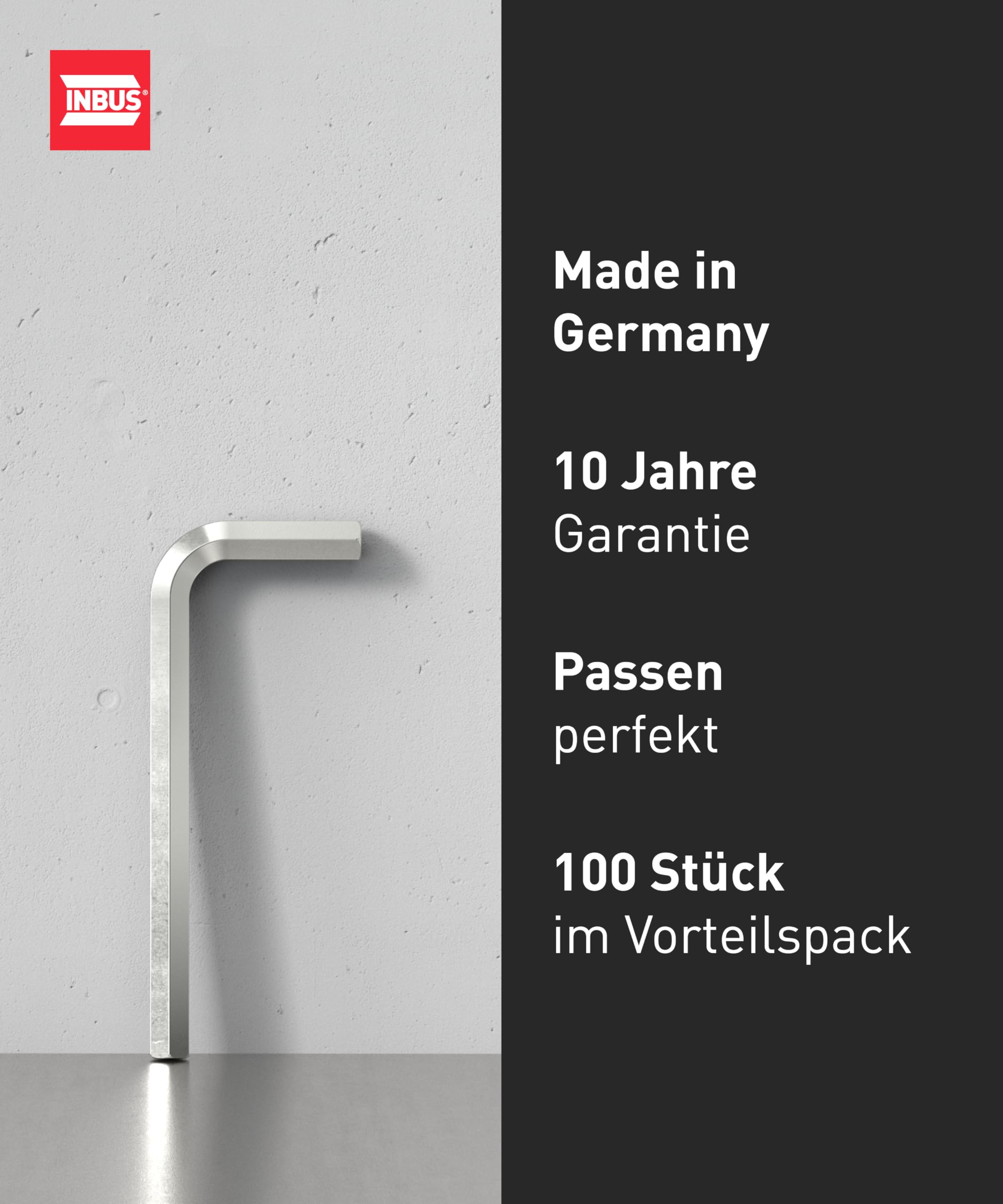 INBUS® Clé Allen 5mm, 100pcs | Das Original. Made in Germany. (ID: 73486)