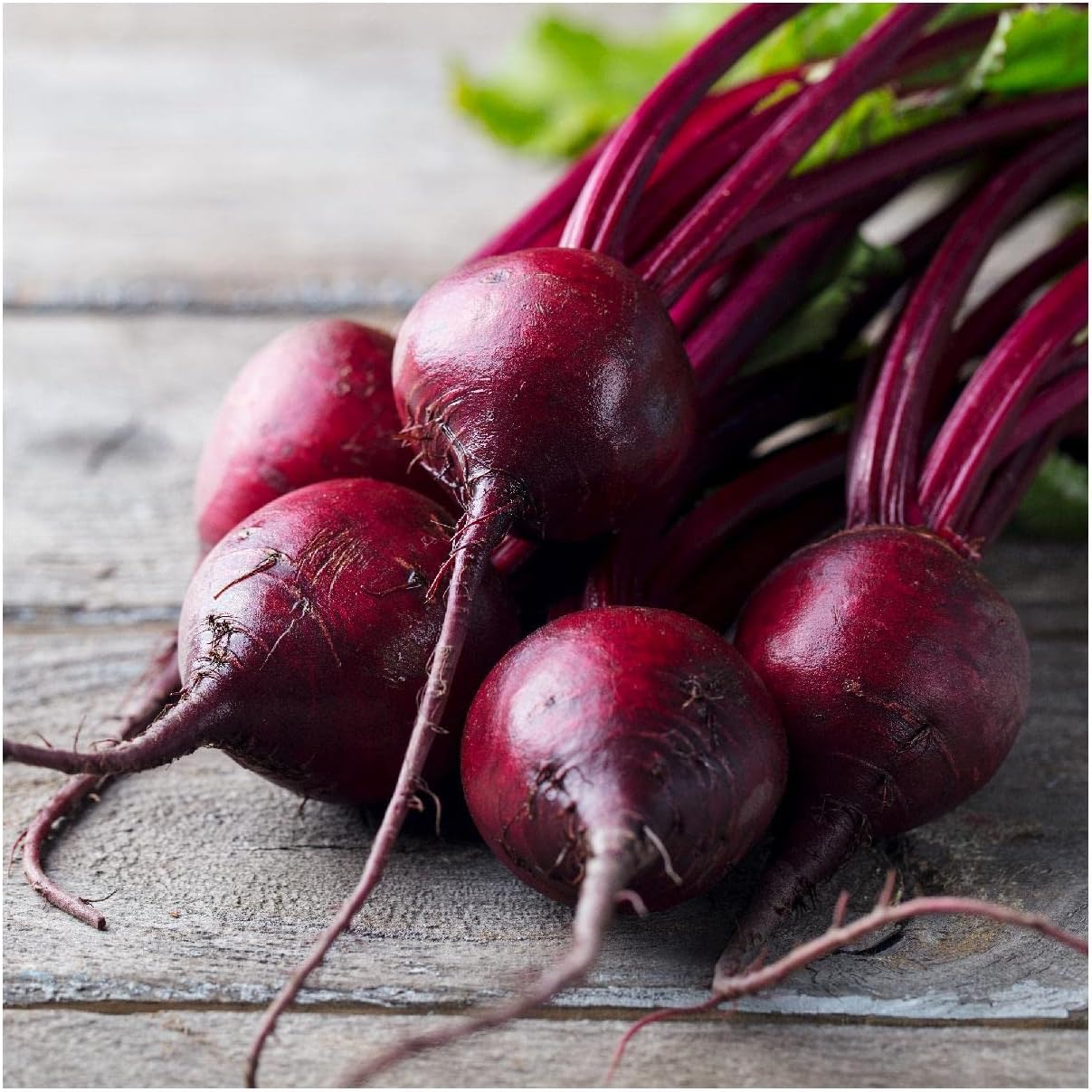 Everwilde Farms - 1/4 Lb Organic Bull's Blood Beet Seeds - Gold Vault
