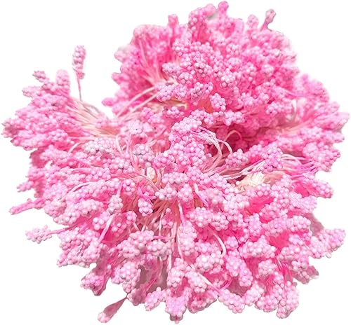 Miniatura 9 de 800 estambres de flores artificiales de 0.197 pulgadas, estambres de doble cabeza, mini estambres florales de Pistilo, pequeños estambres de flores